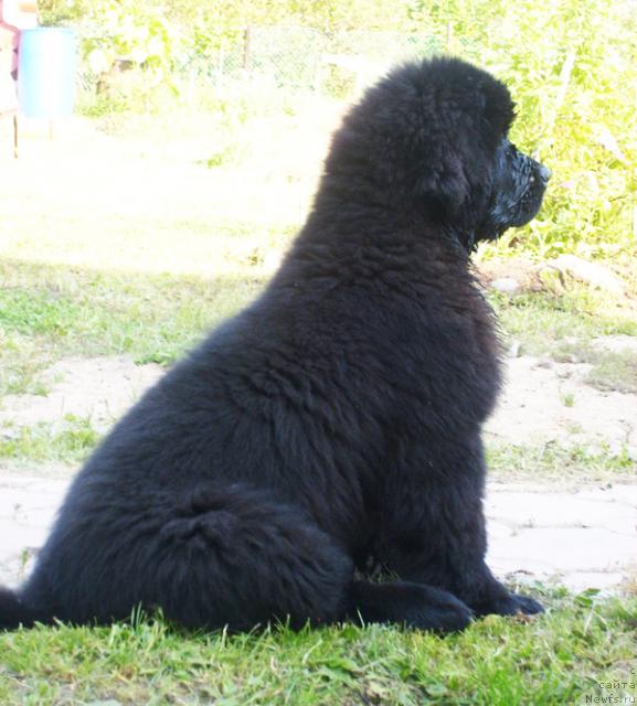 Фотография № 46348