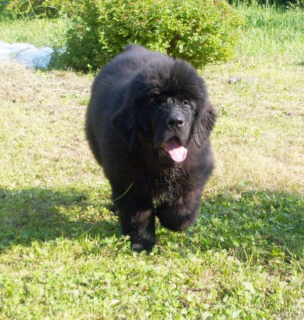 Фотография № 46349