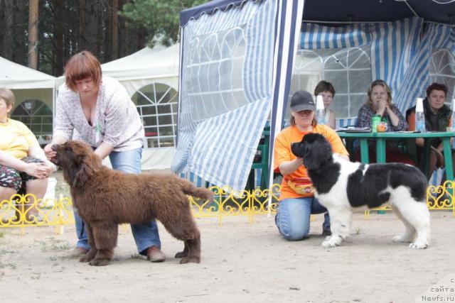 Фотография № 46365