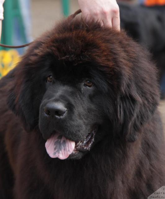 Фотография № 46367