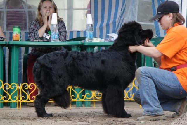 Фотография № 46369