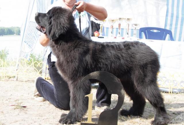 Фотография № 46380