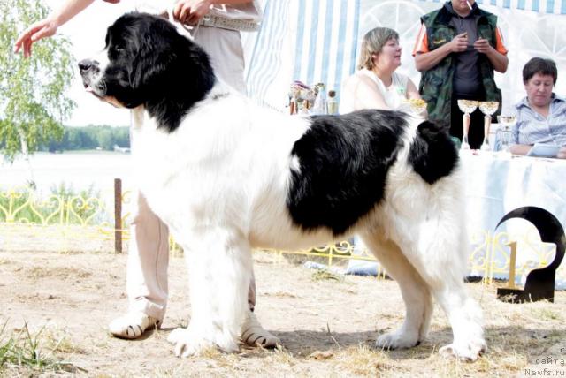 Фотография № 46383