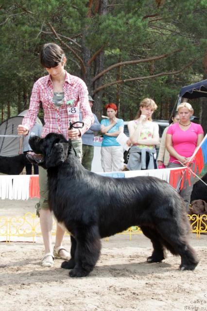 Фотография № 46385