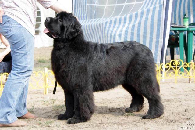 Фотография № 46387