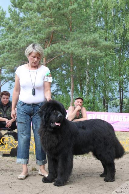 Фотография № 46392