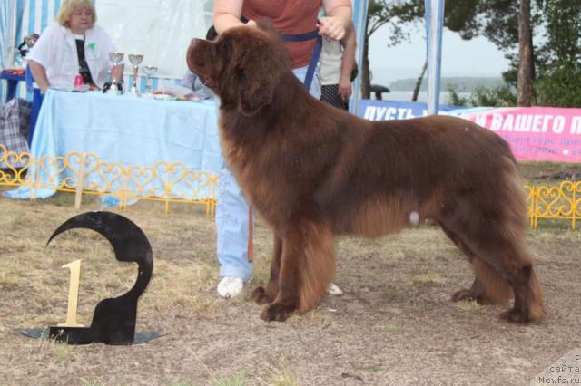 Фотография № 46395