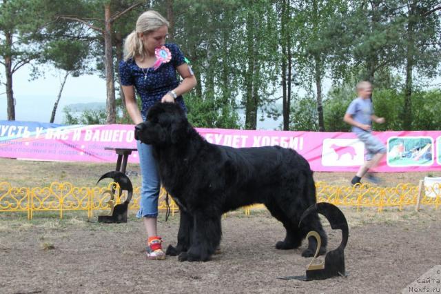 Фотография № 46396