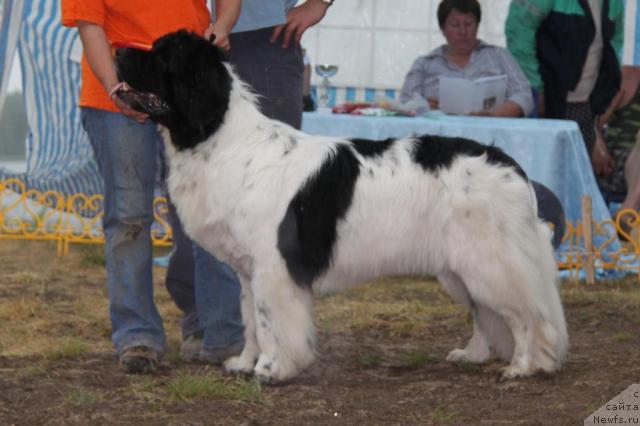 Фотография № 46397