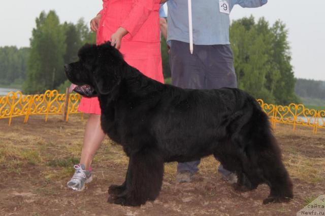 Фотография № 46399