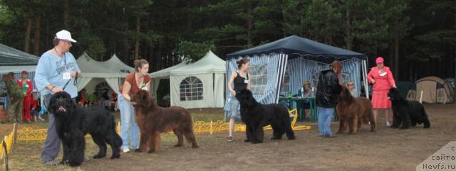 Фотография № 46400