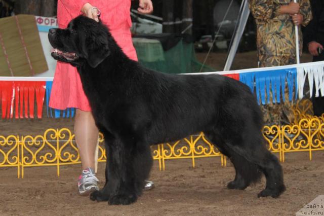 Фотография № 46402