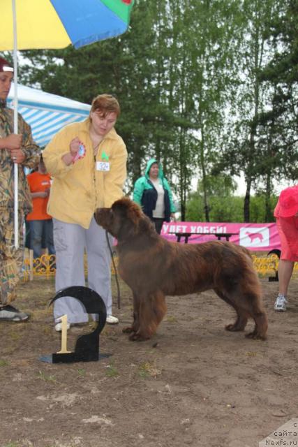 Фотография № 46404