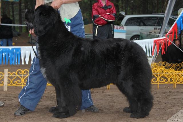 Фотография № 46405