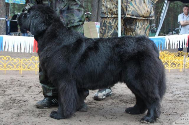 Фотография № 46406