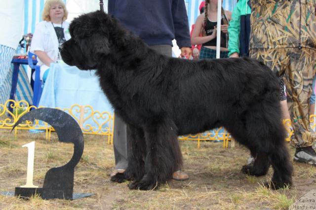 Фотография № 46407