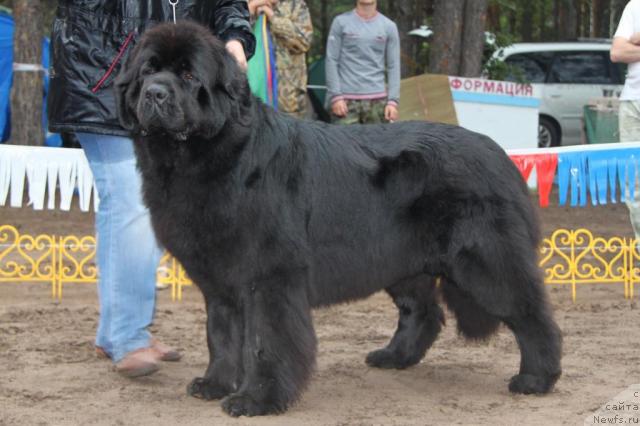 Фотография № 46411