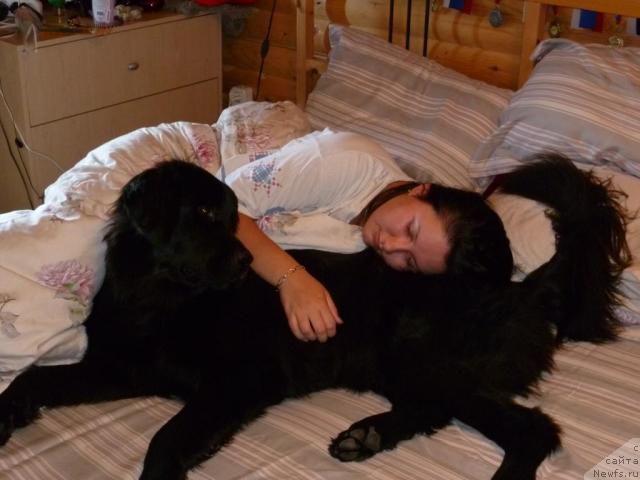 Фотография № 46450