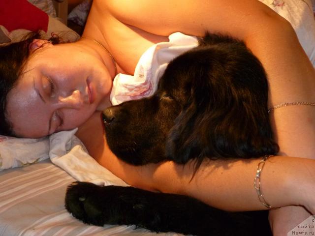 Фотография № 46451