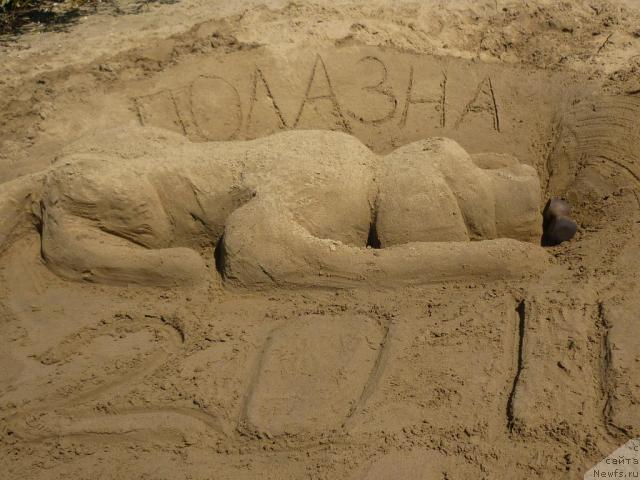 Фотография № 46488