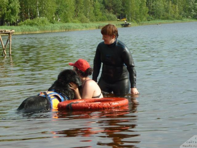 Фото: Tat'yana Abutova (Татьяна Абутова)