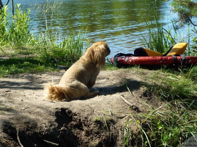 Фотография № 46495