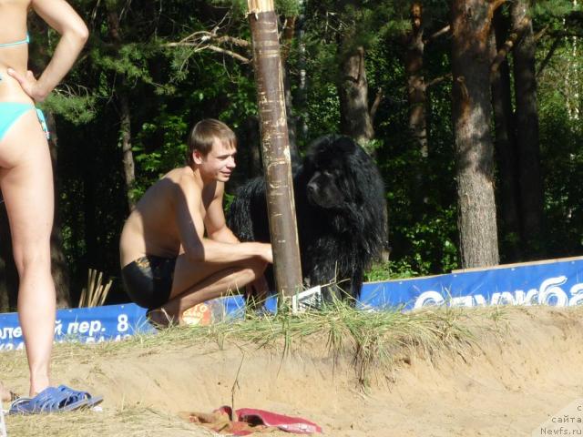 Фото: Maksim Kanunnikov (Максим Канунников), ньюфаундленд Super Premium Vashington (Супер Премиум Вашингтон)