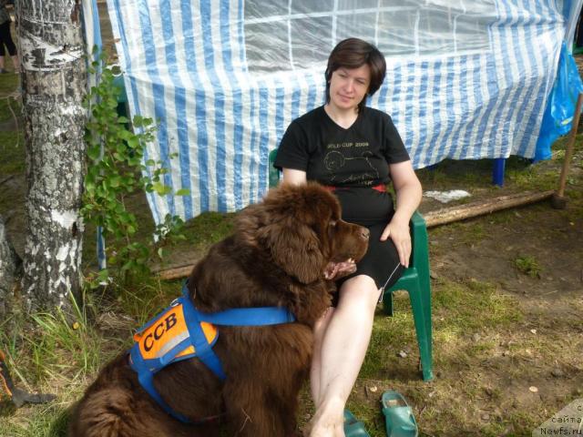 Фото: Irina Nazarova (Ирина Назарова), ньюфаундленд Obush Shed Yudashkin Stil (Обуш Шед Юдашкин Стиль)