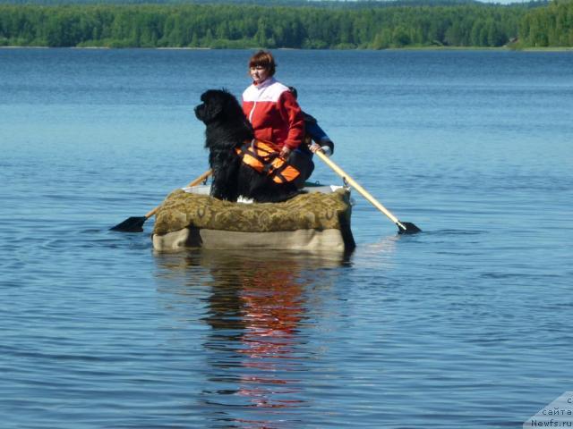 Фото: Tat'yana Abutova (Татьяна Абутова)