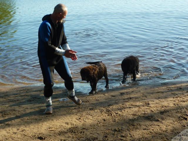 Фотография № 46517