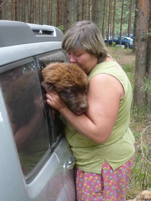 Фото: Irina Gabova (Ирина Габова)