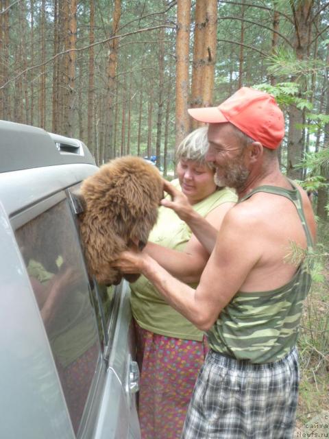 Фото: Irina Gabova (Ирина Габова), Nikolay Belonogov (Николай Белоногов)
