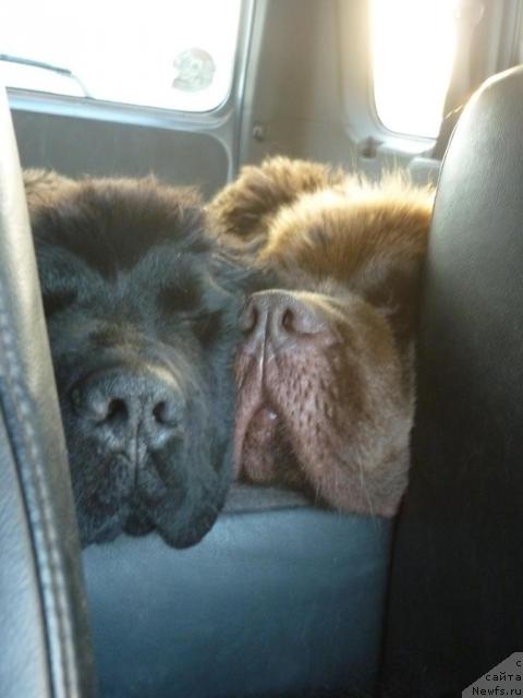 Фото: Грейс и Максим