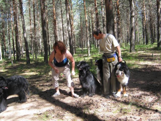 Фото: ньюфаундленд YAsnaya Nochka den Baffi (Ясная Ночка ден Баффи), ньюфаундленд Cessi Fabiana Blyek Fauna (Цесси Фабиана Блэк Фауна), берны Принц и Берси