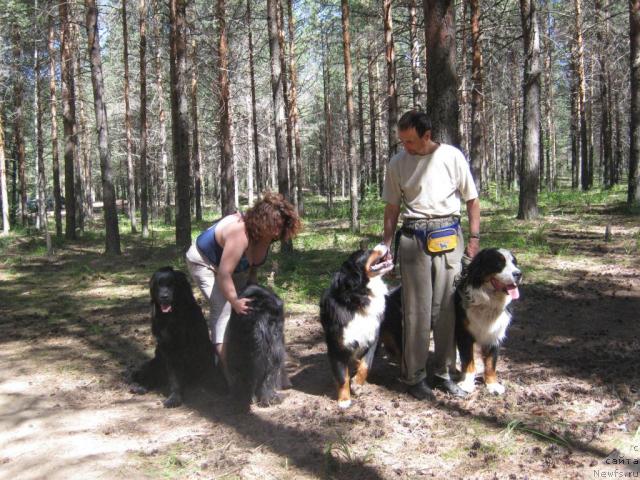 Фото: ньюфаундленд Cessi Fabiana Blyek Fauna (Цесси Фабиана Блэк Фауна), Elena Ul'eva (Елена Ульева), ньюфаундленд YAsnaya Nochka den Baffi (Ясная Ночка ден Баффи), Принц, Игорь, Берси