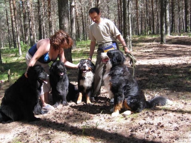 Фото: ньюфаундленд YAsnaya Nochka den Baffi (Ясная Ночка ден Баффи), Elena Ul'eva (Елена Ульева), ньюфаундленд Cessi Fabiana Blyek Fauna (Цесси Фабиана Блэк Фауна), Принц, Игорь, Берси