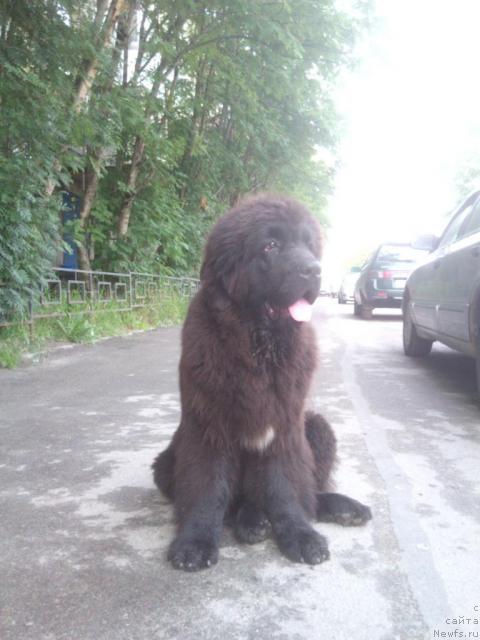 Фотография № 46597