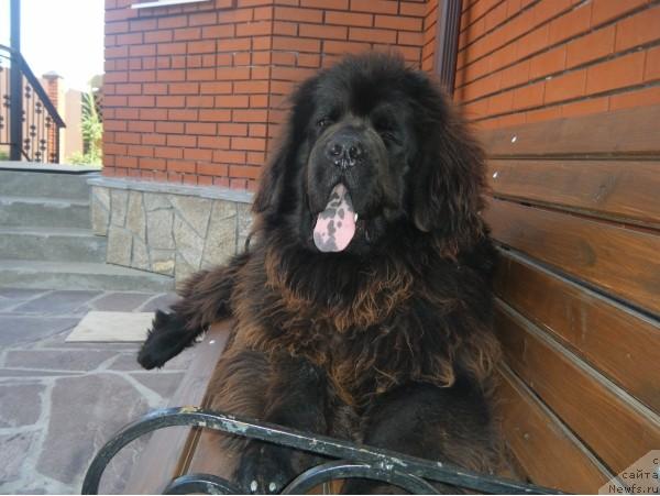 Фотография № 46621