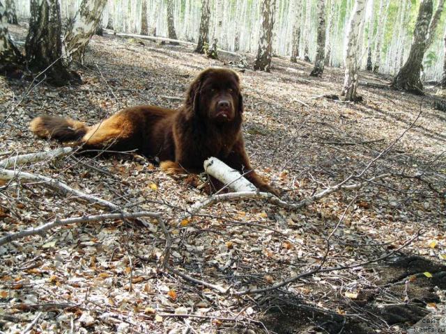 Фотография № 46660