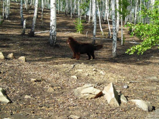 Фотография № 46667