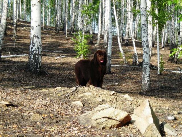 Фотография № 46668