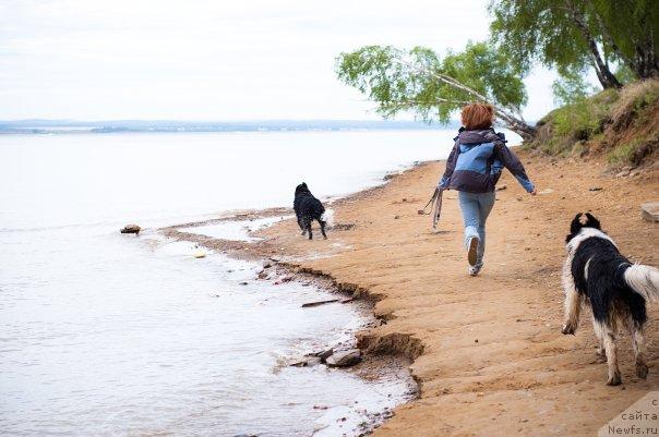 Фото: ньюфаундленд Mag Ispolin Lavina (Маг Исполин Лавина), Aleksandra Vesnina (Александра Веснина), ньюфаундленд Piternyuf Prodigy (Питерньюф Продижи)