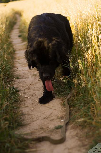 Фотография № 46694