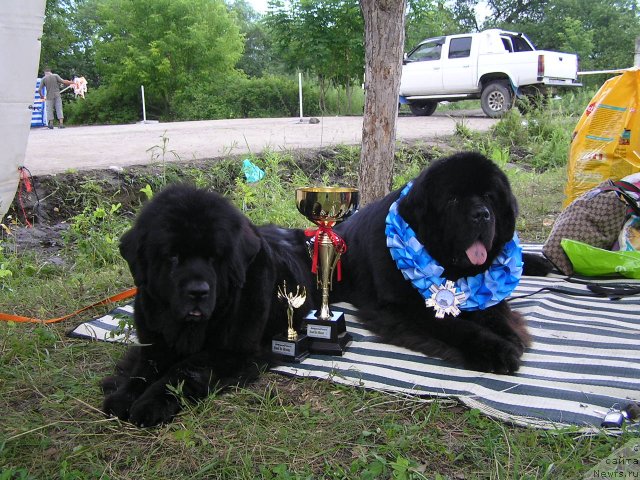 Фотография № 46704