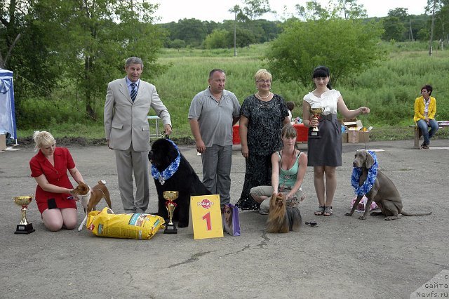 Фотография № 46705