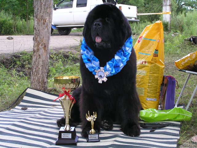 Фотография № 46707