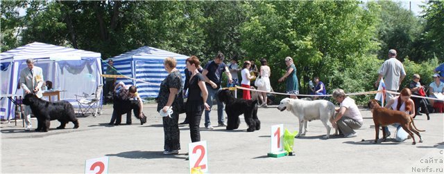 Фотография № 46708