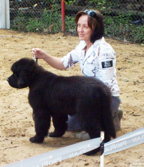 Фотография № 46710