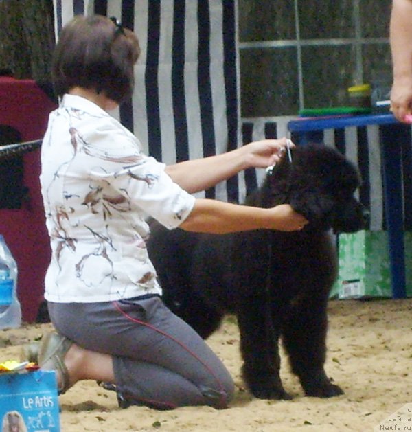 Фотография № 46712