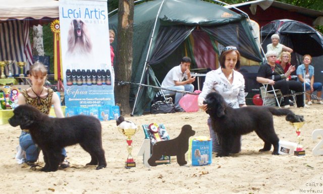 Фотография № 46718